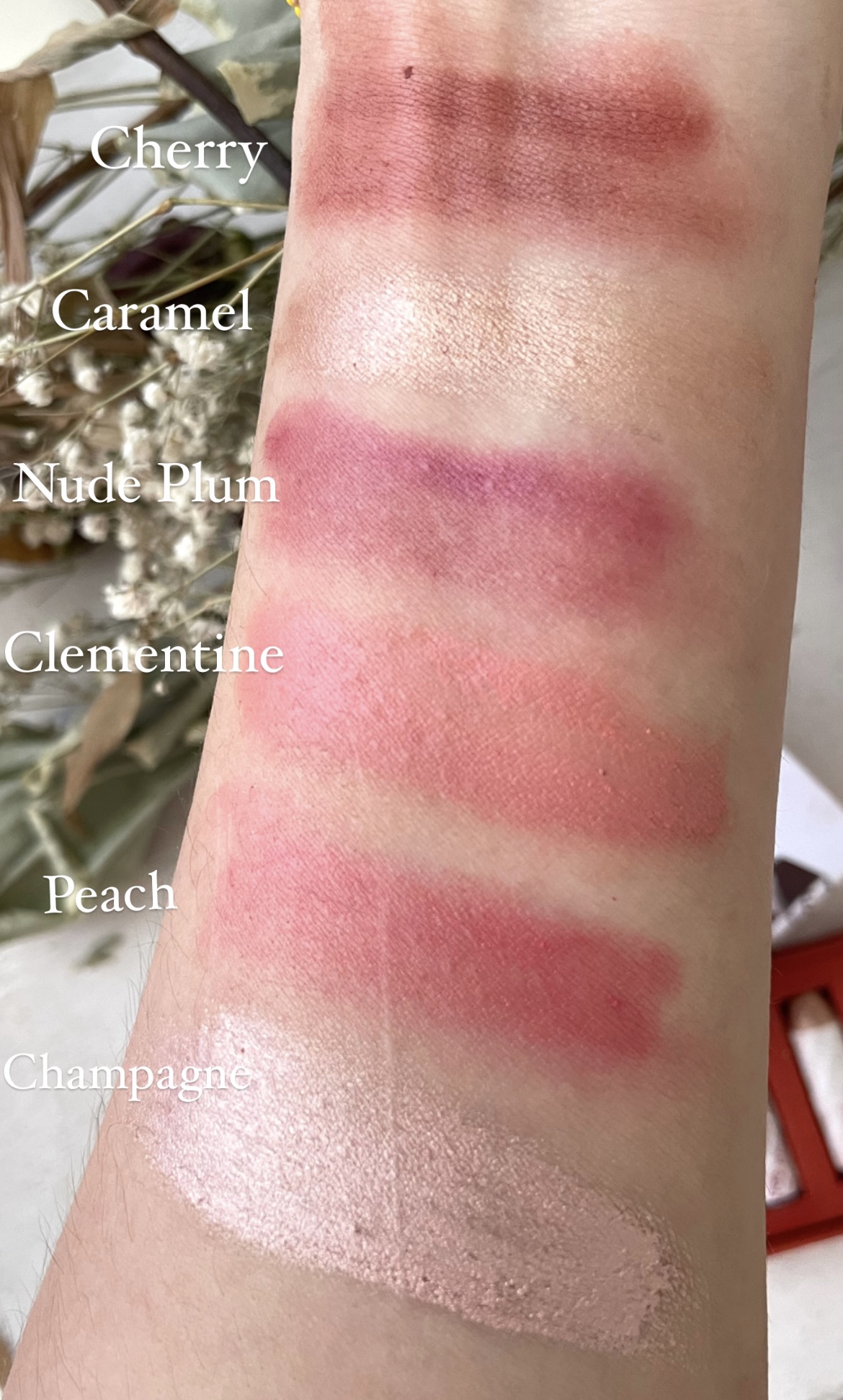 Axiology swatches