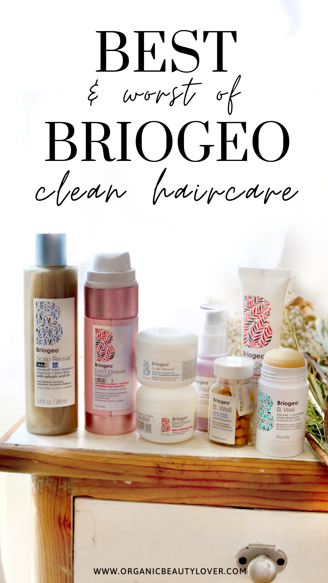 Briogeo review