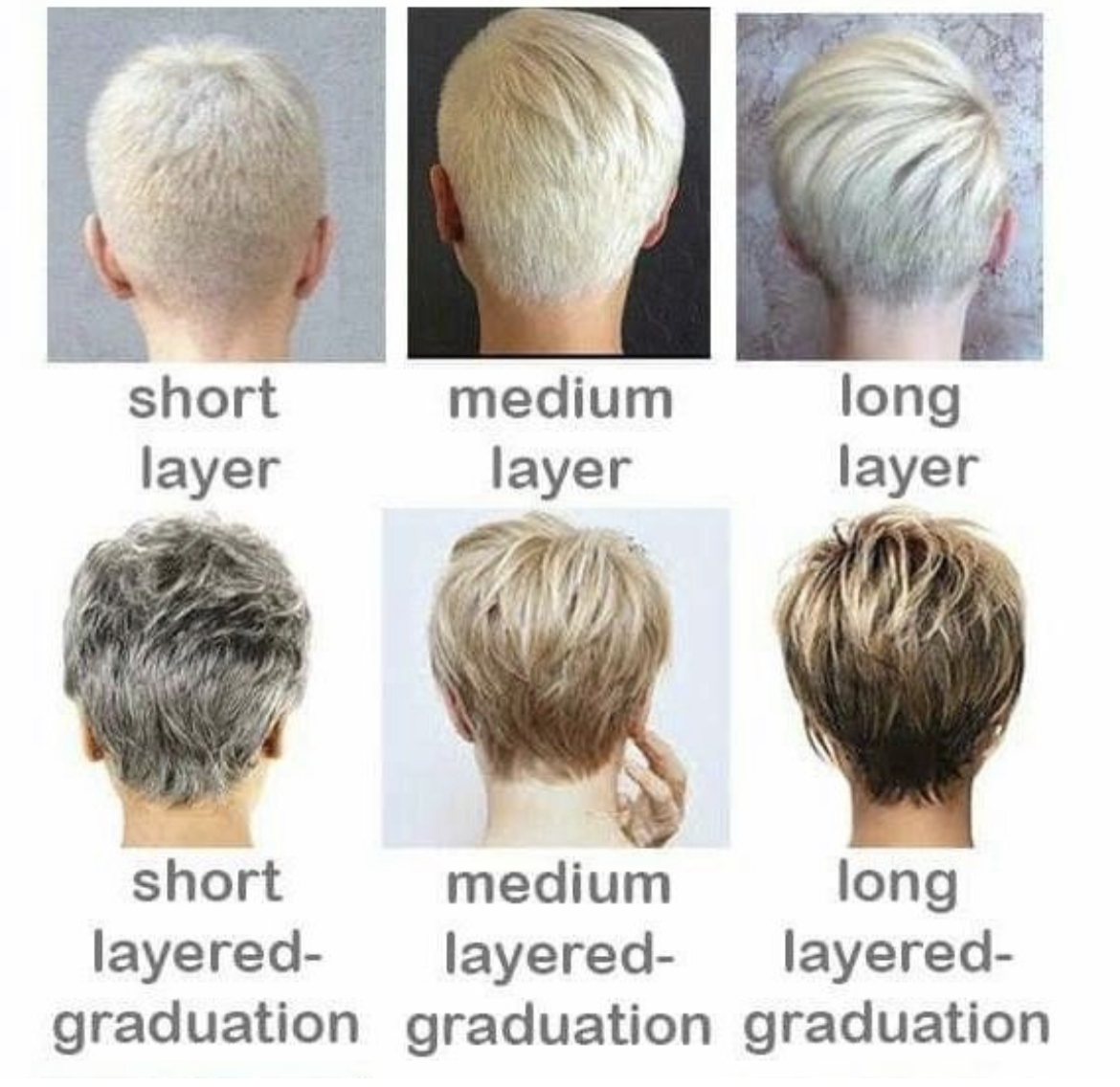 100 Best Short Hairstyles & Haircuts for Women in 2023 – ORGANIC BEAUTY  LOVER